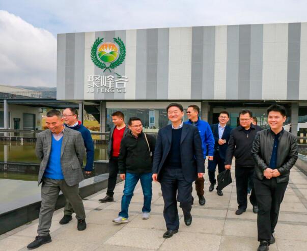 集團(tuán)黨委書記、董事長任丁率隊調(diào)研聚峰谷