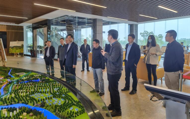 廣西旅發(fā)集團(tuán)黨委書記、董事長(zhǎng)容賢標(biāo)考察集團(tuán)文旅項(xiàng)目