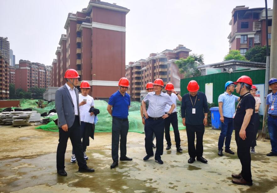 尊龍凱時(shí)集團(tuán)經(jīng)營(yíng)提升年專(zhuān)責(zé)工作組 開(kāi)展系列項(xiàng)目督導(dǎo)