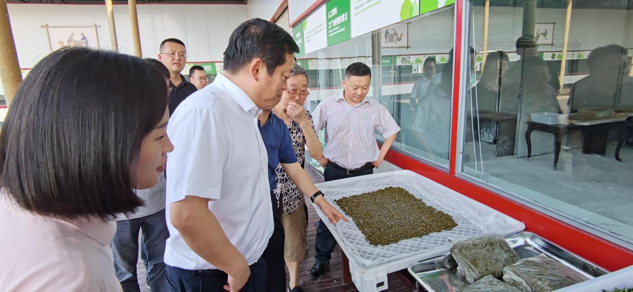 省尊龍凱時(shí)集團(tuán)黨委副書(shū)記、董事陳日赴嘉陵區(qū)調(diào)研茶桑產(chǎn)業(yè)發(fā)展情況