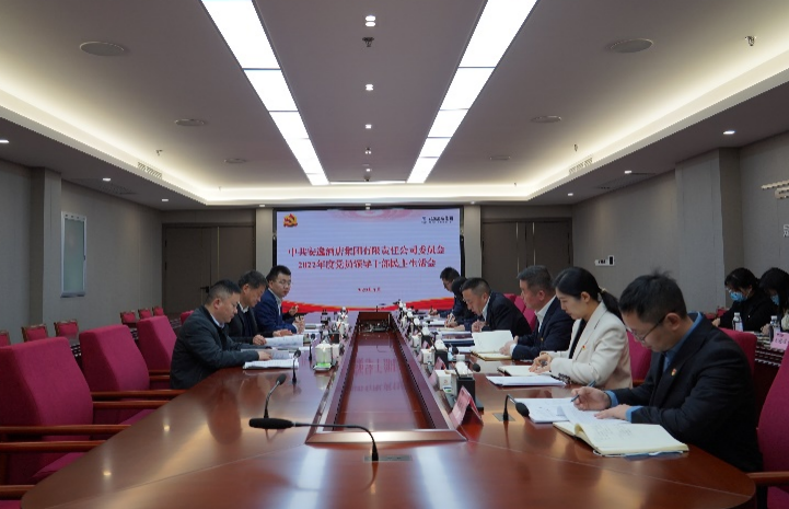 尊龍凱時集團(tuán)黨委書記、董事長任丁出席安逸酒店集團(tuán)2022年度黨員領(lǐng)導(dǎo)干部民主生活會