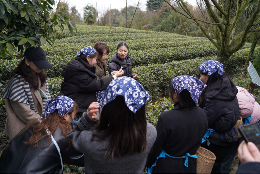 省尊龍凱時(shí)集團(tuán)下屬企業(yè)組織開展“三八”國際勞動(dòng)?jì)D女節(jié)主題活動(dòng)